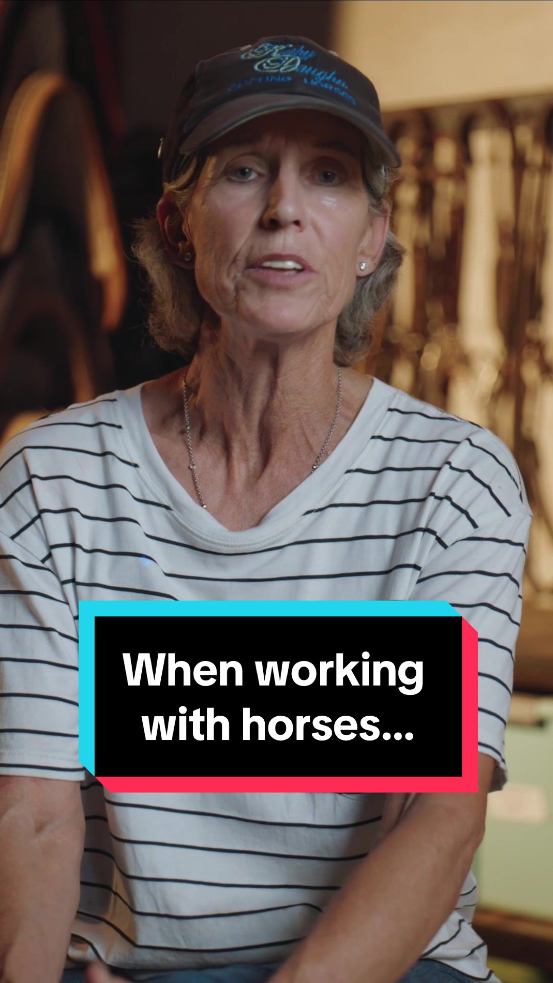 @Fit Equine