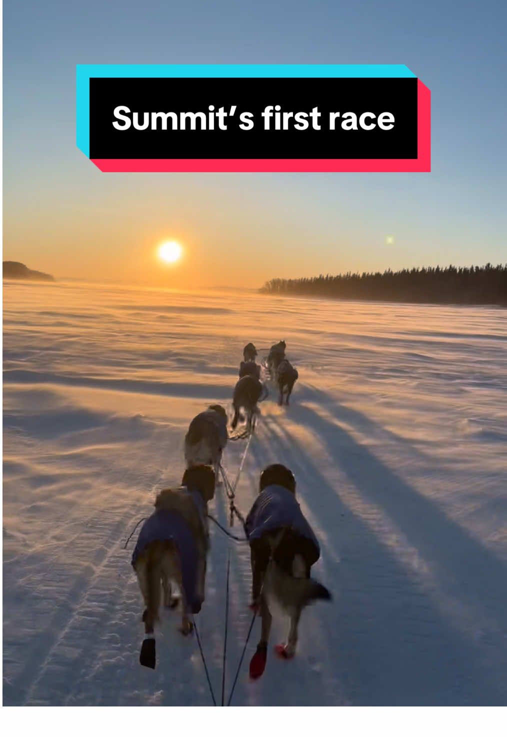 @Glacier Musher