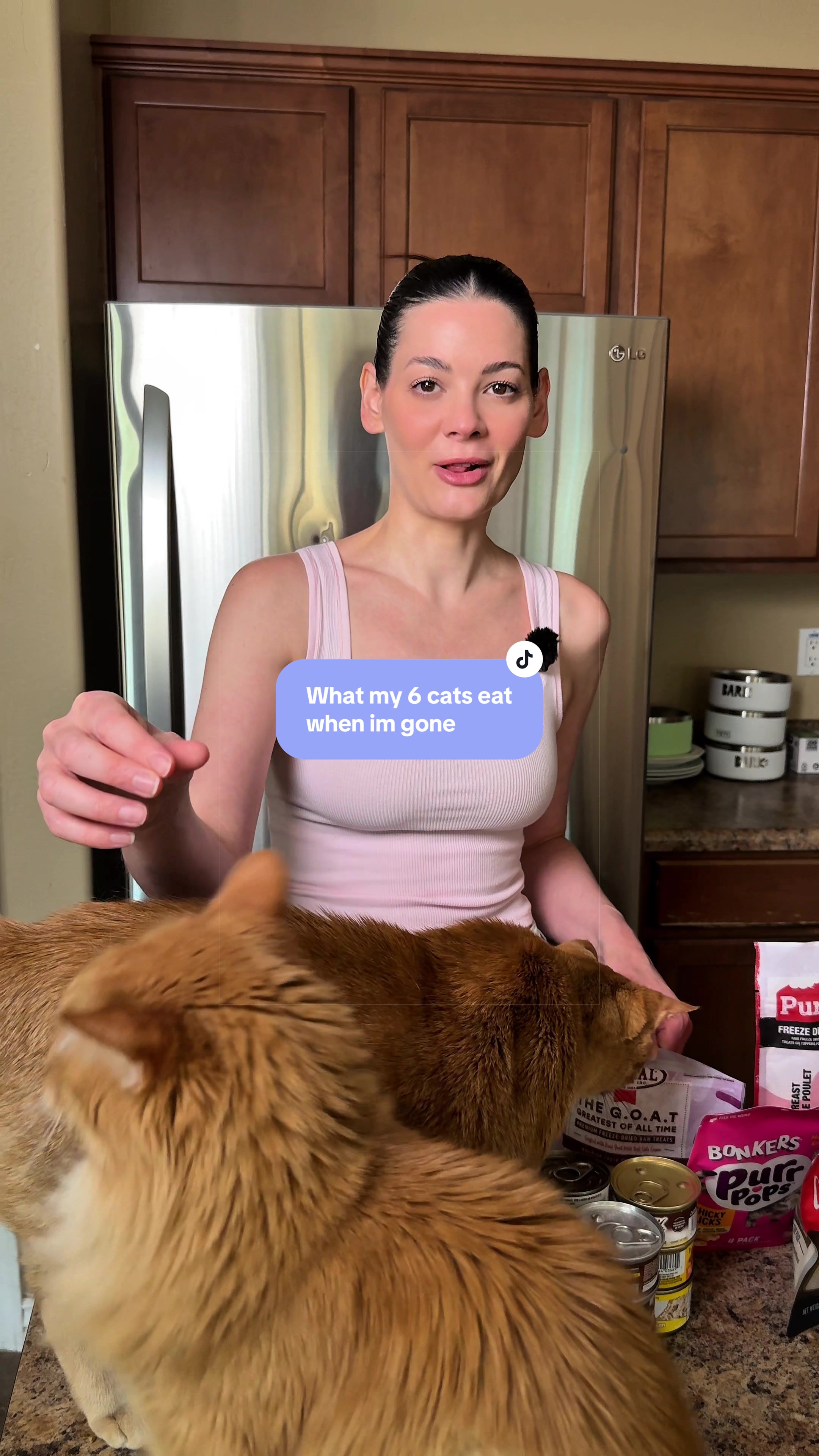 @Feminist Kitty | Cat Nutrition