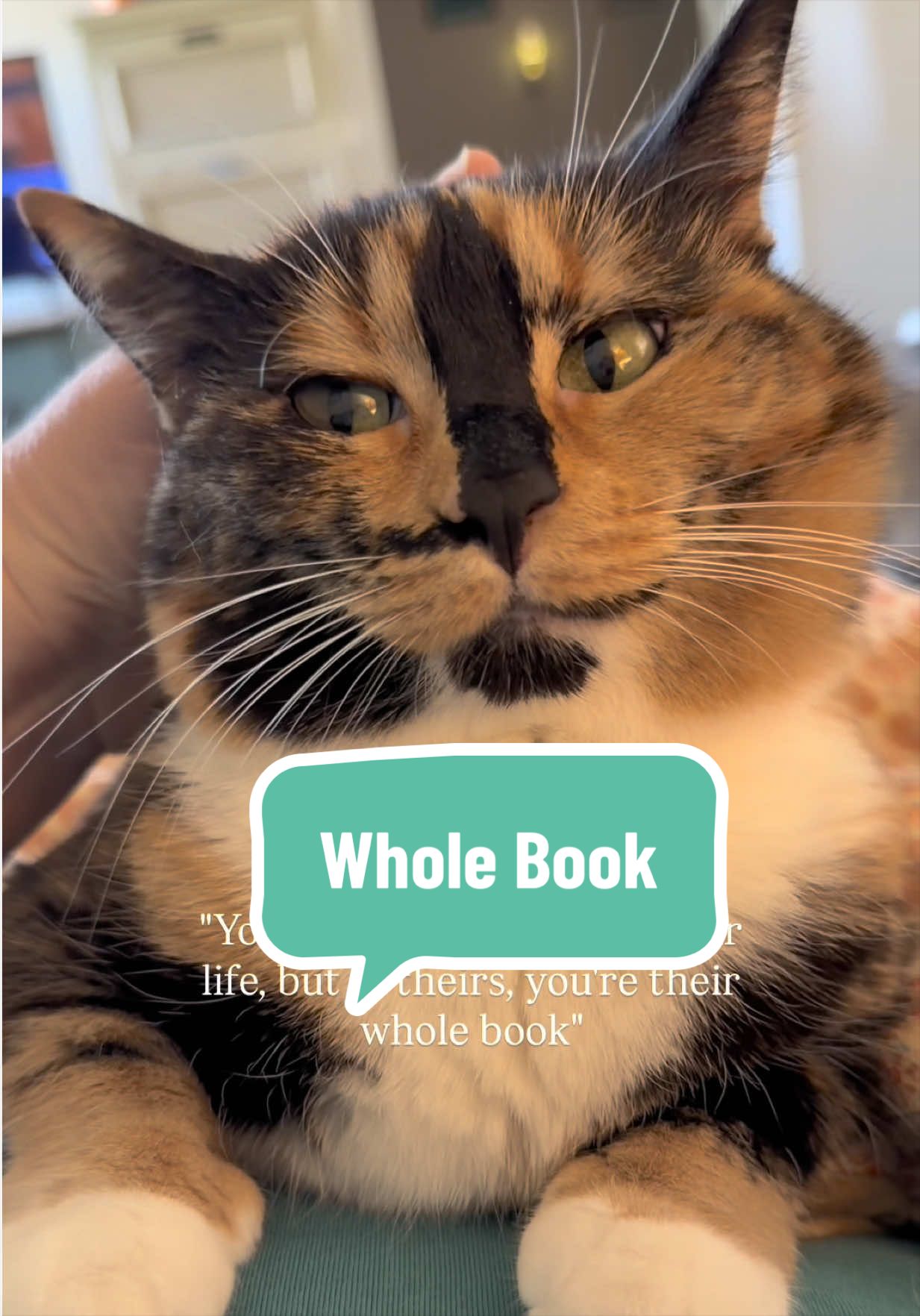 @SnickersTheSmilingCat