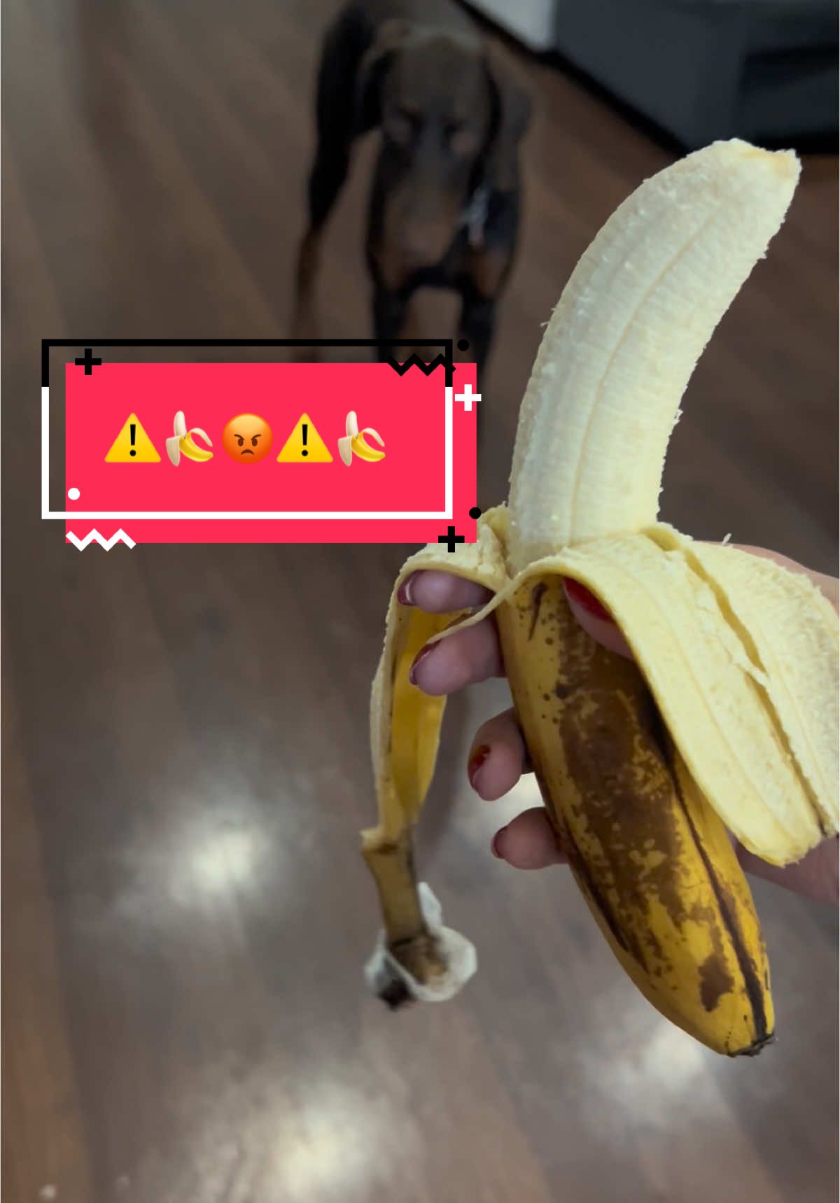 @Draco Banano
