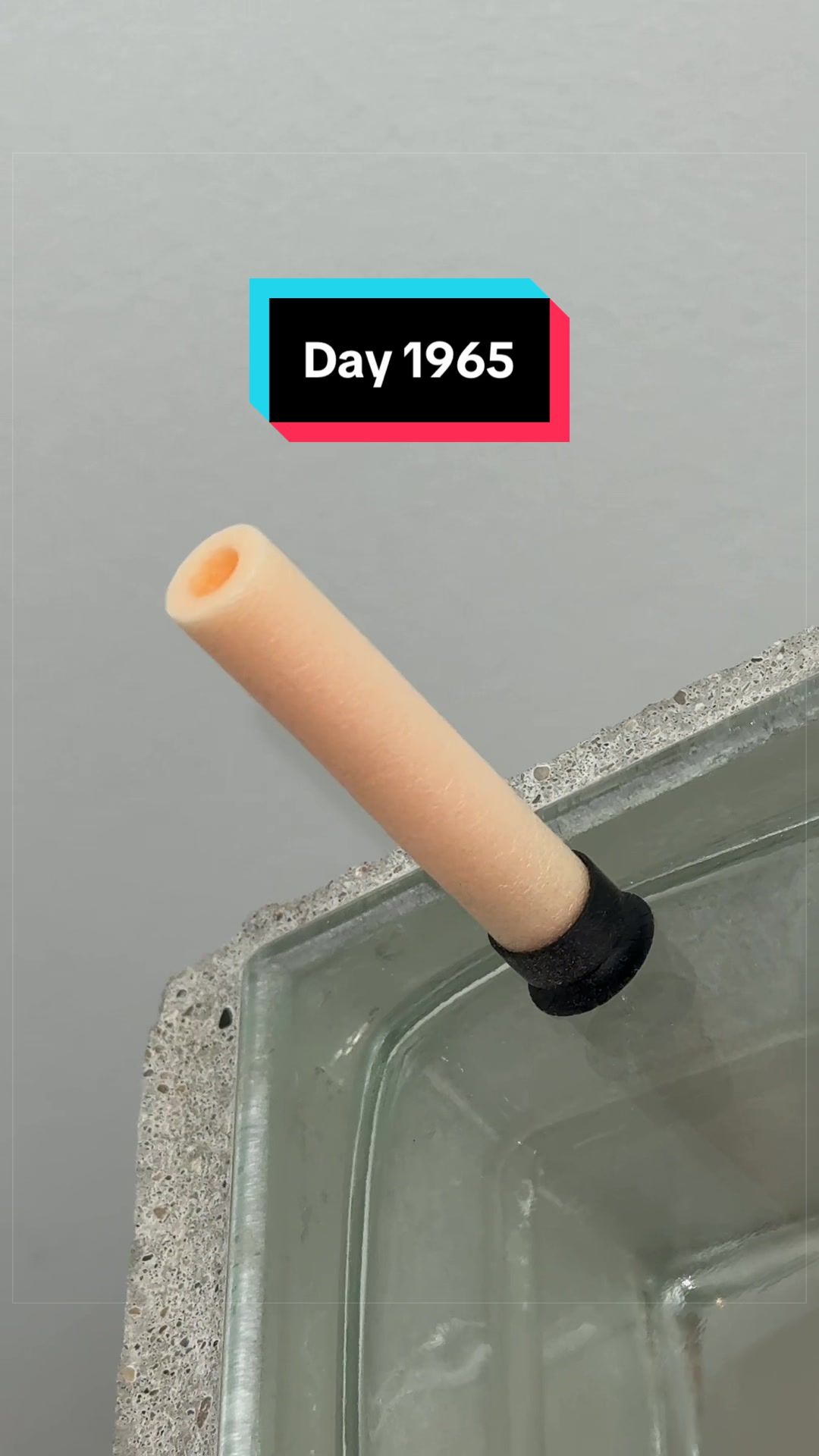 @The Immortal Nerf Dart