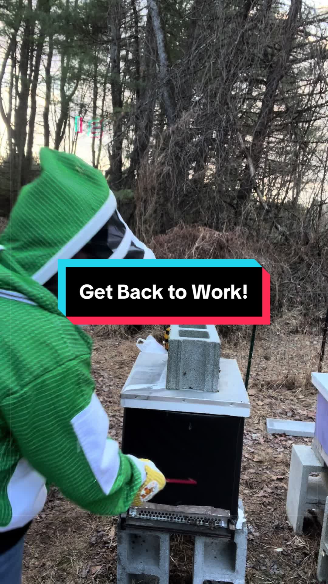 @Steph in the Wild
