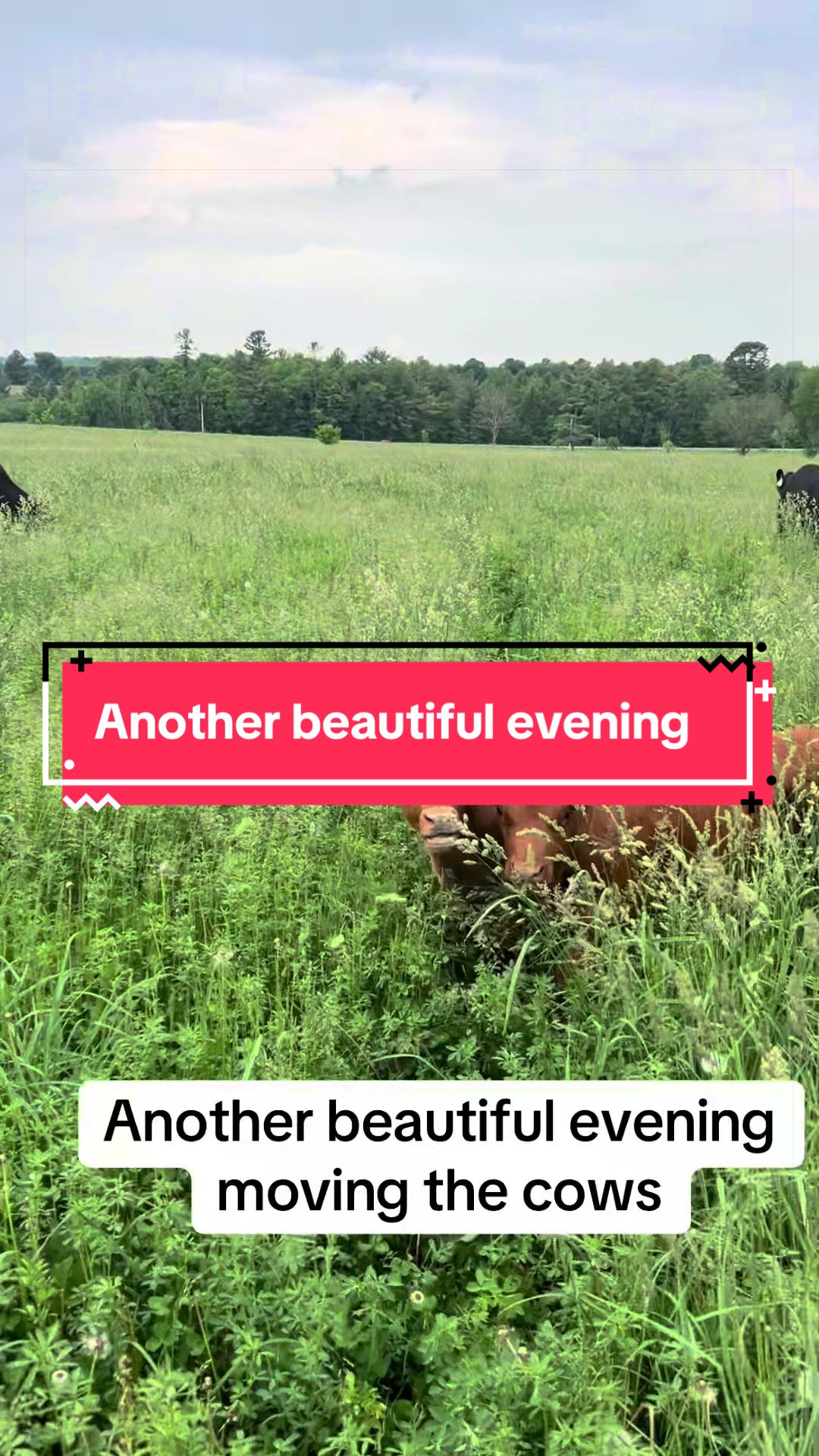 @littlesandycreekfarm