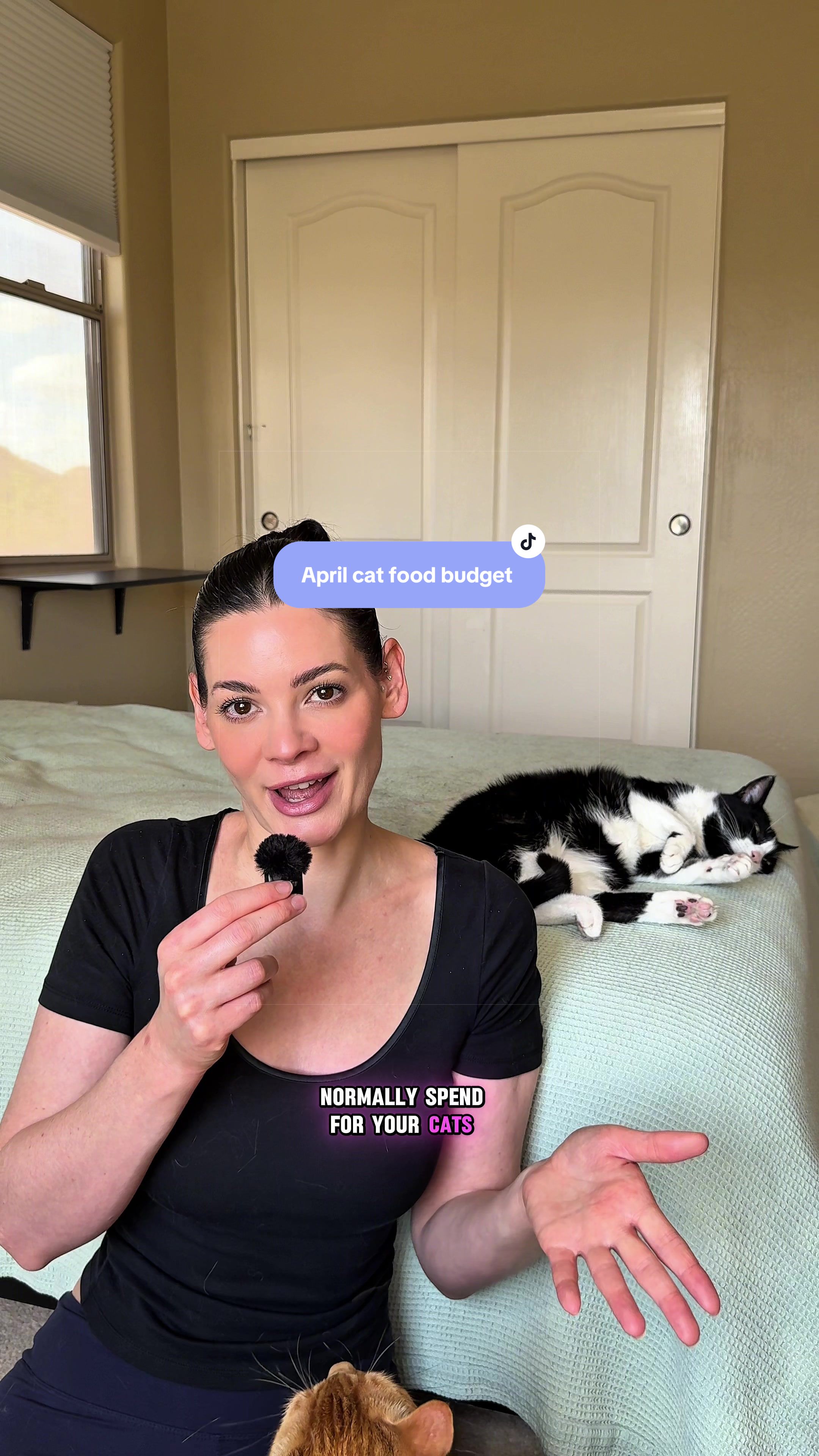 @Feminist Kitty | Cat Nutrition