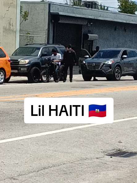 @The Goofy Haitian