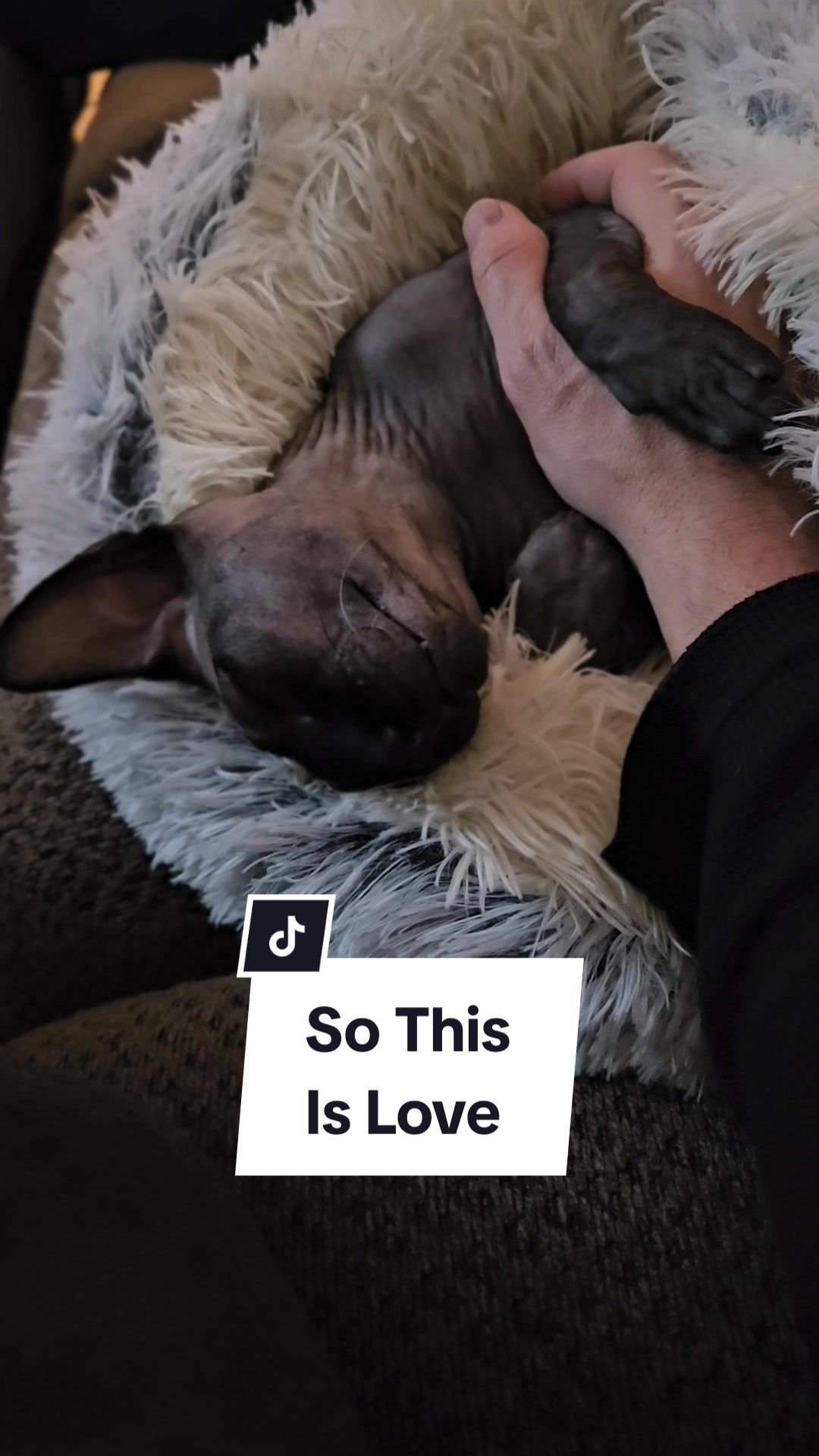 @kyoto.jack.sphynx