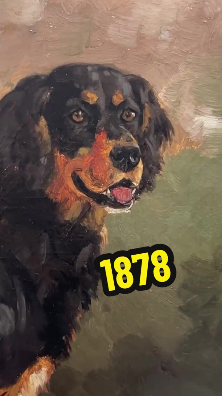 @AKC Museum of the Dog