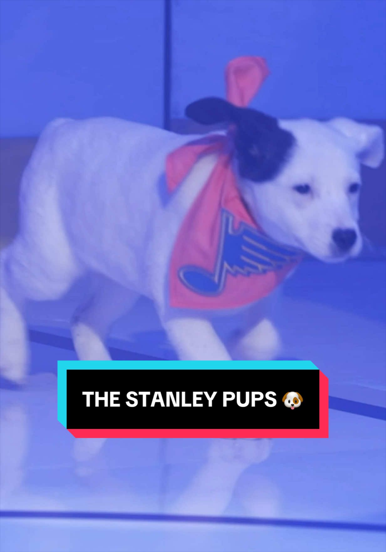 @NHL