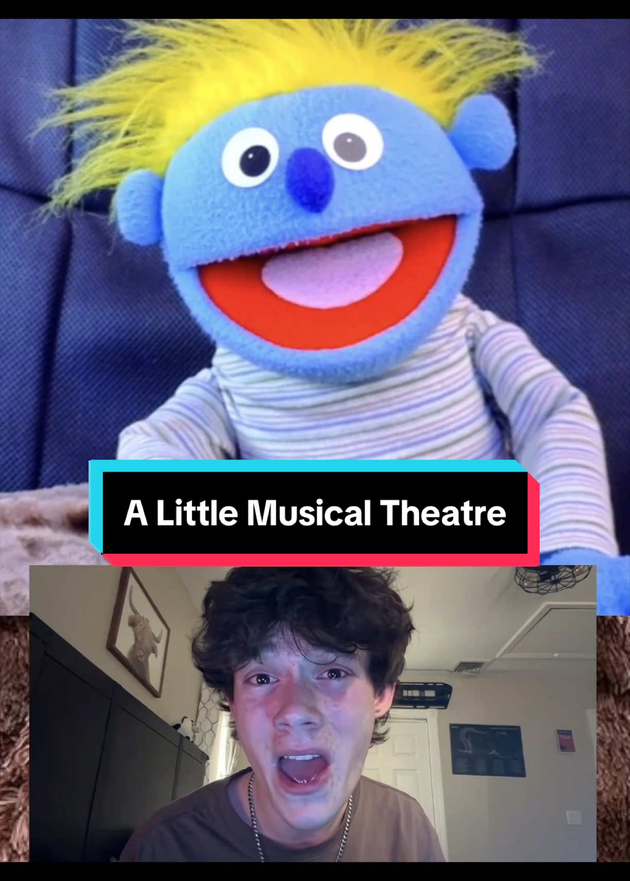 @PeterPrankster