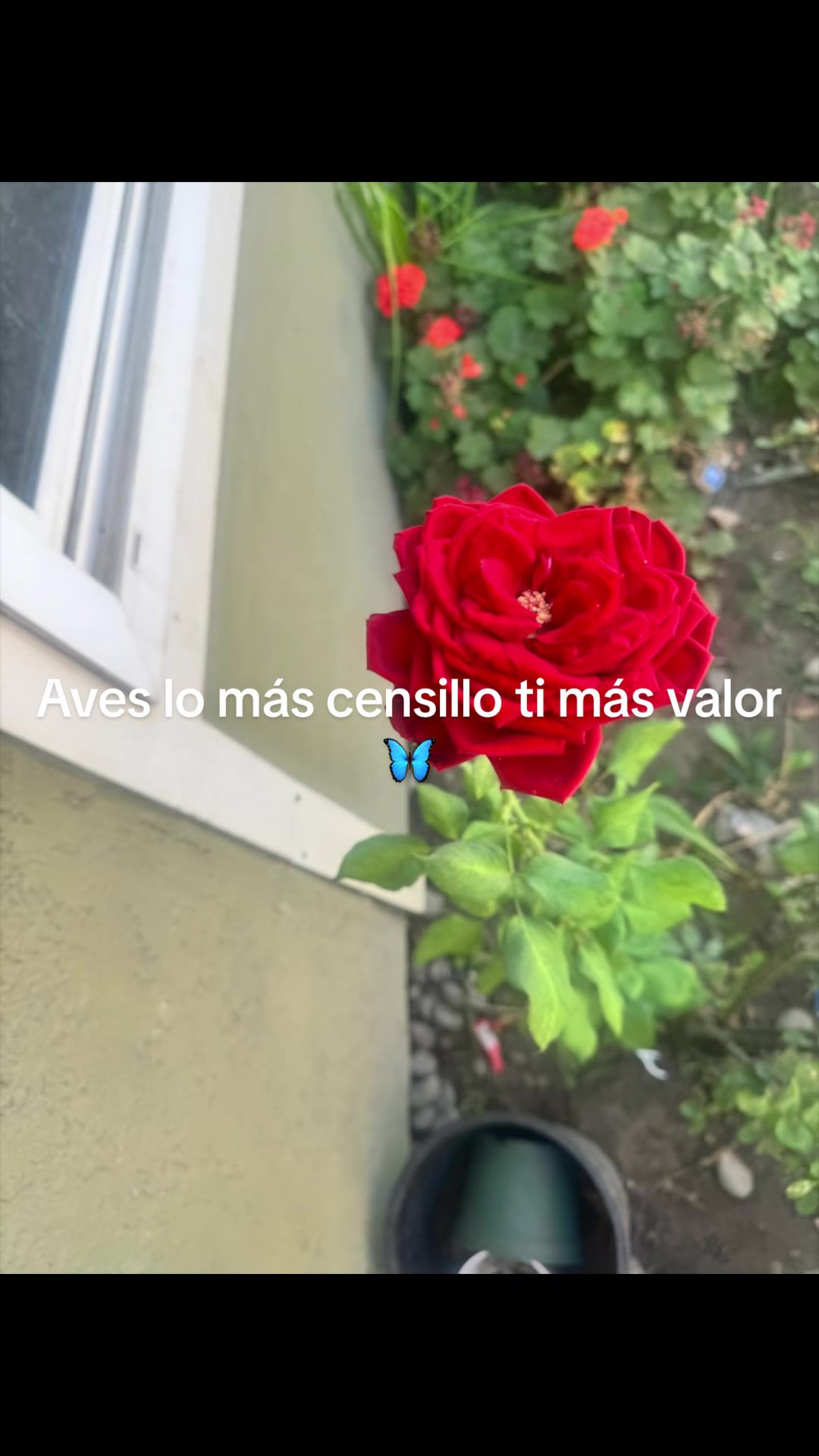 @China | La Costeña 🦋