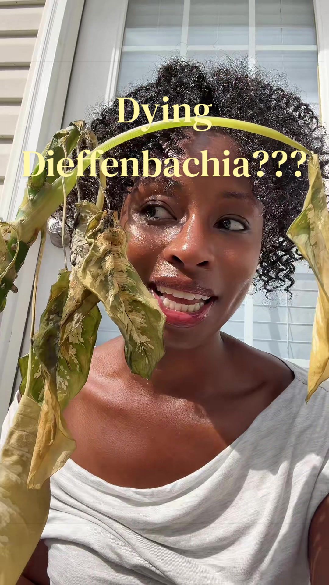 @Stanie 🍯