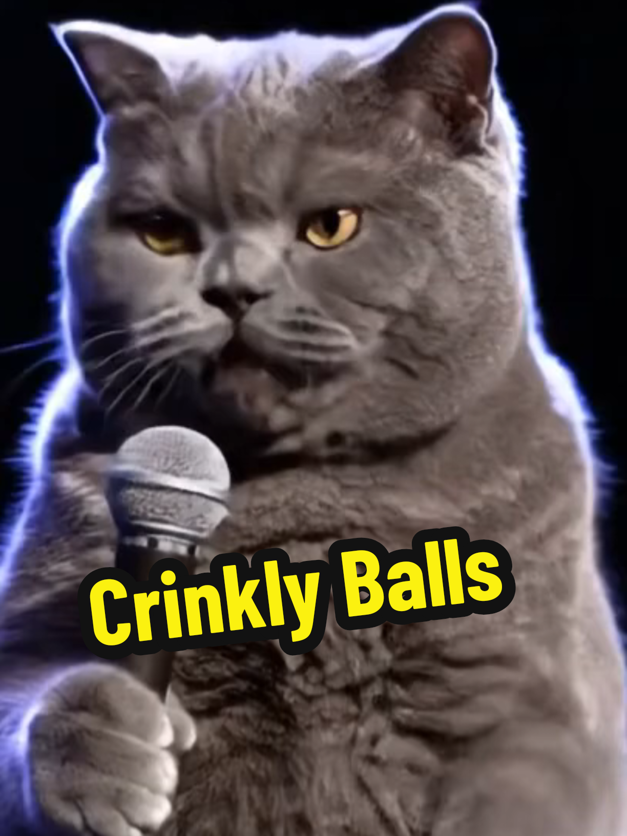 @comedyclubcats