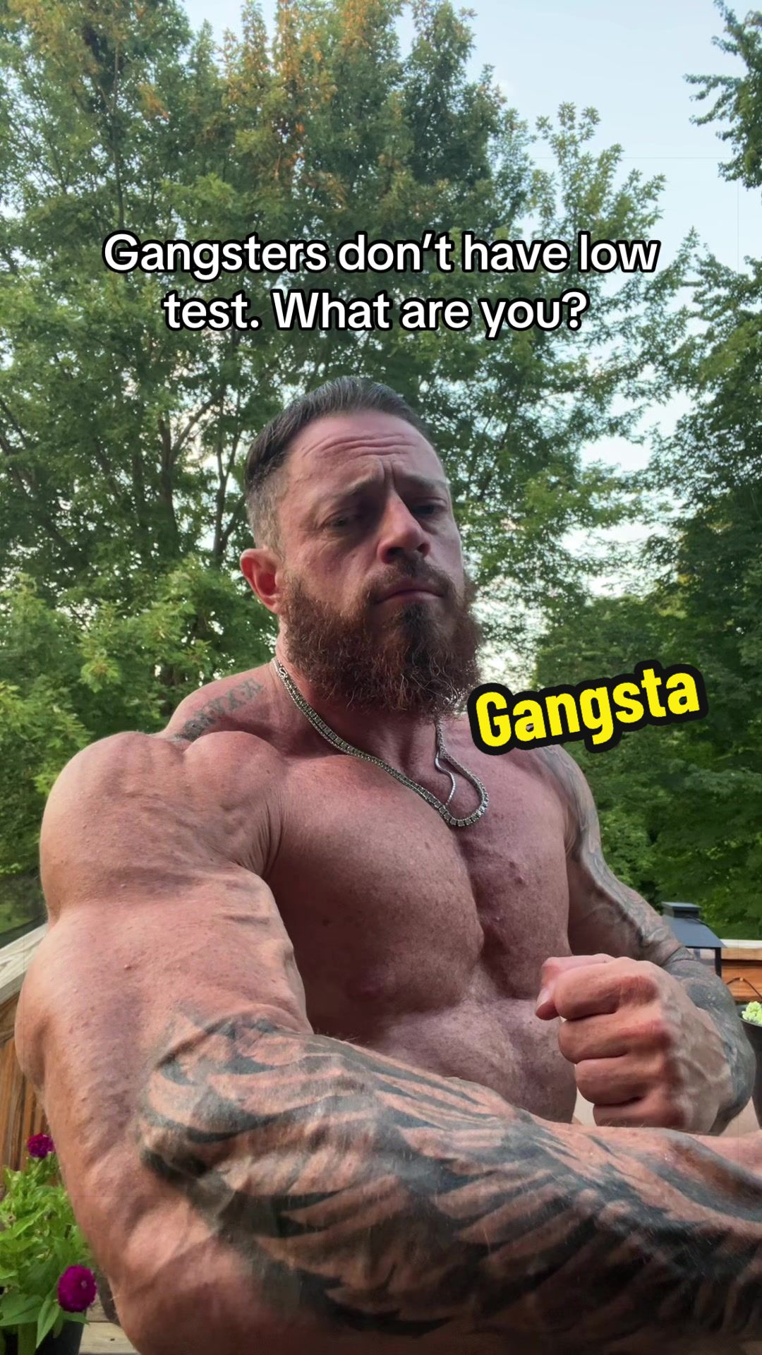 @TheDon