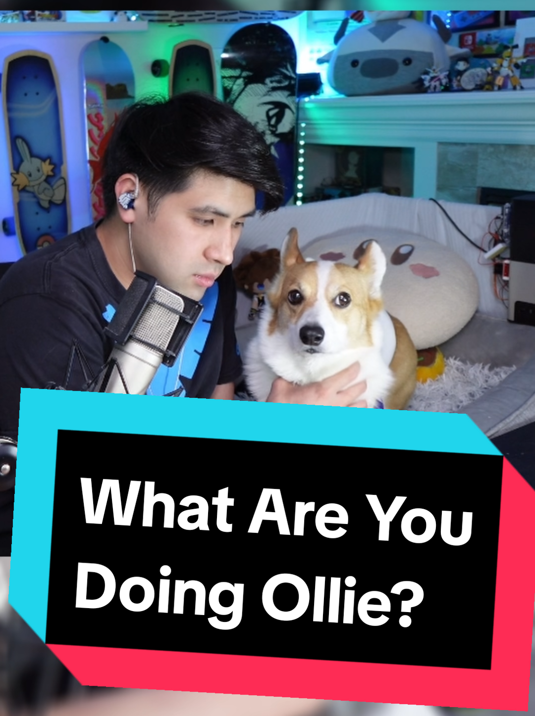 @Protocorg | Twitch Streamer
