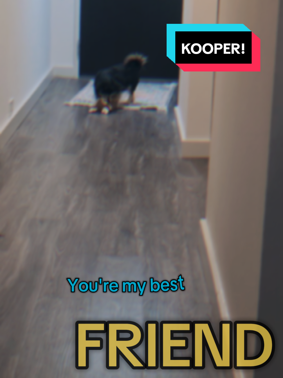 @Rux
