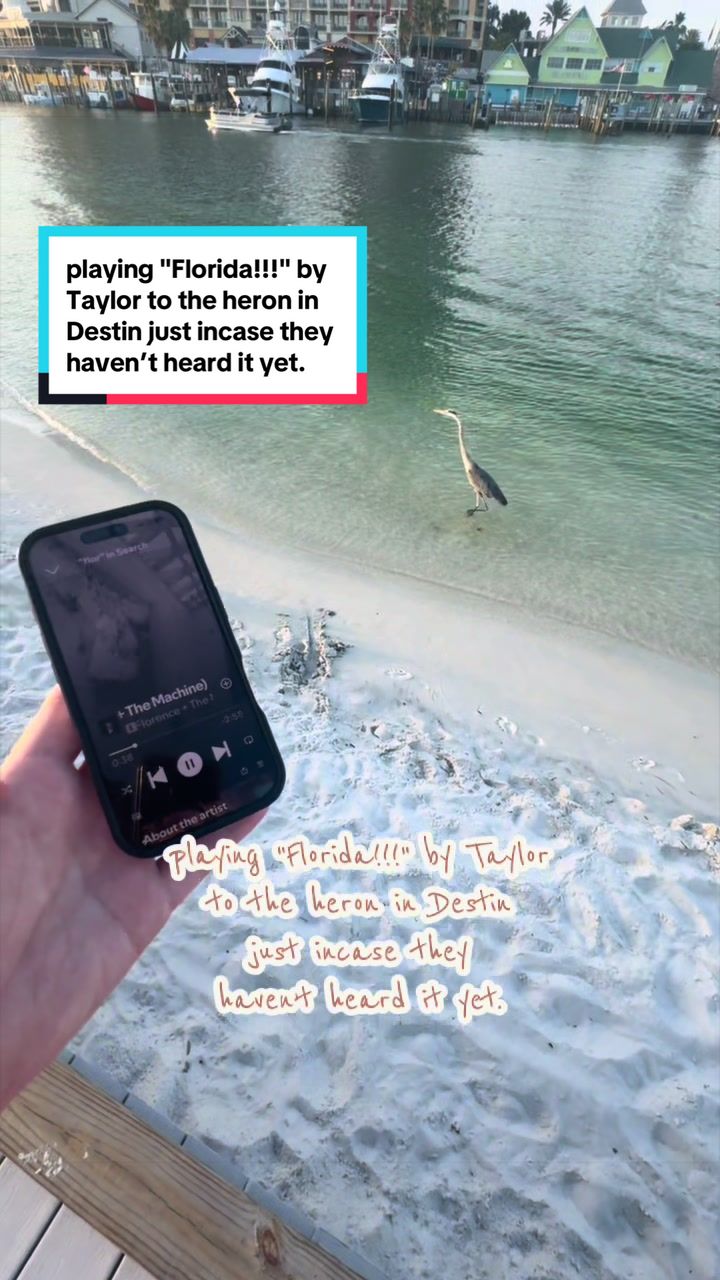 @V_Swiftie_