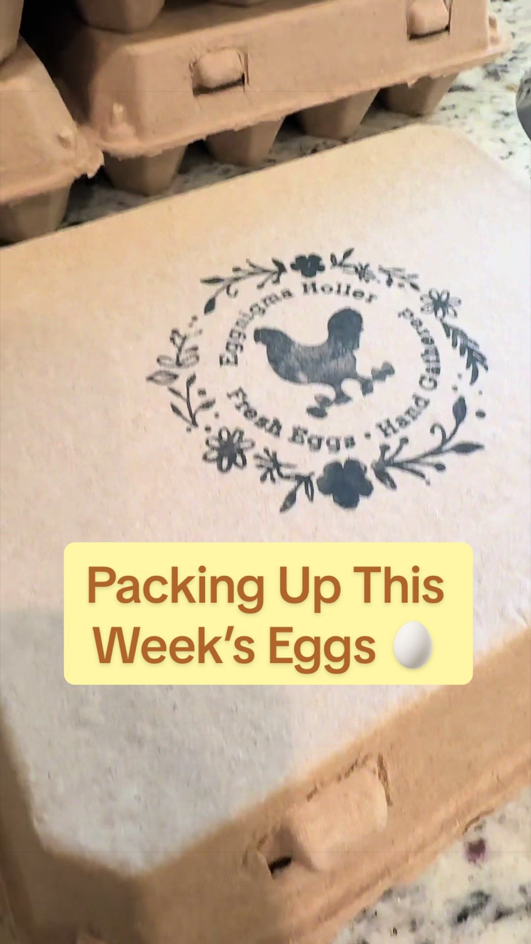 @Amy Jo | Eggnigma Holler 🐔