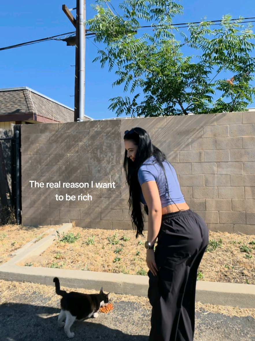 @Alondra (Ally)