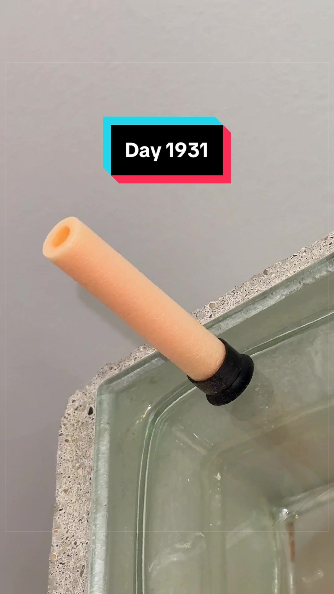 @The Immortal Nerf Dart