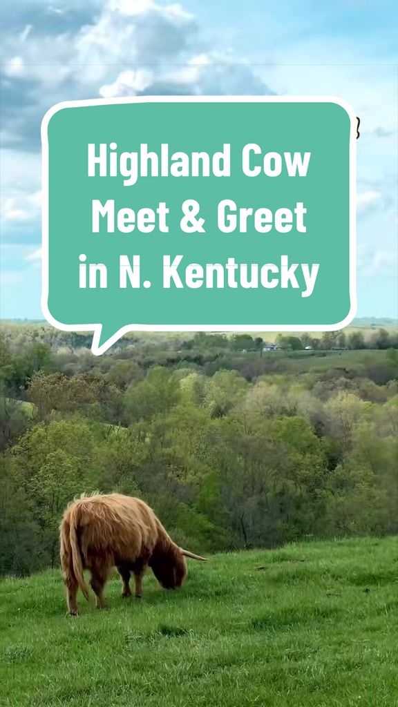 @Michelle: Cincy/NKY Tips