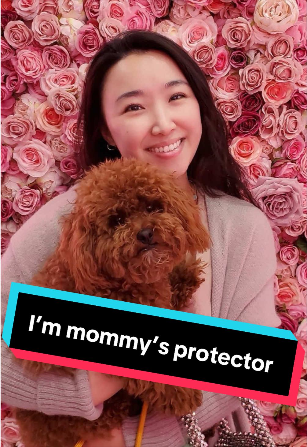 @Gizmo🧸