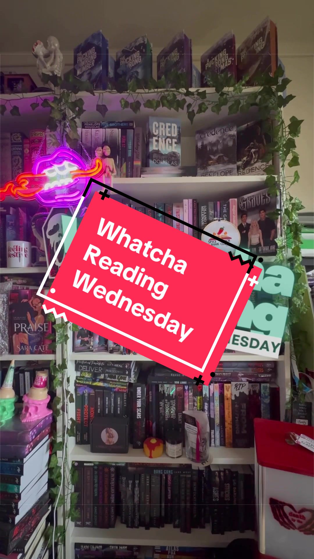 @themandysin 📚🦇