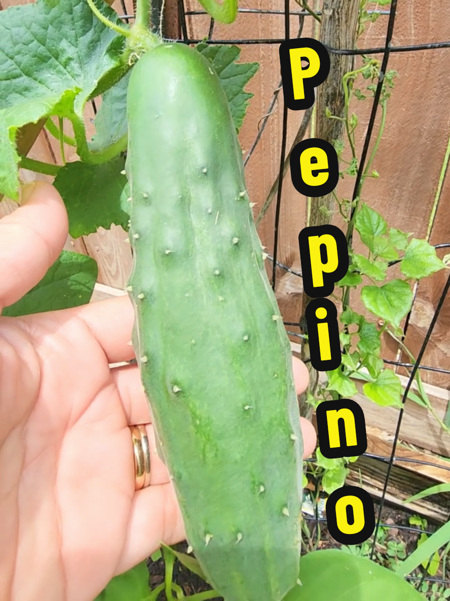 @Mi Rinc&oacute;n Favorito