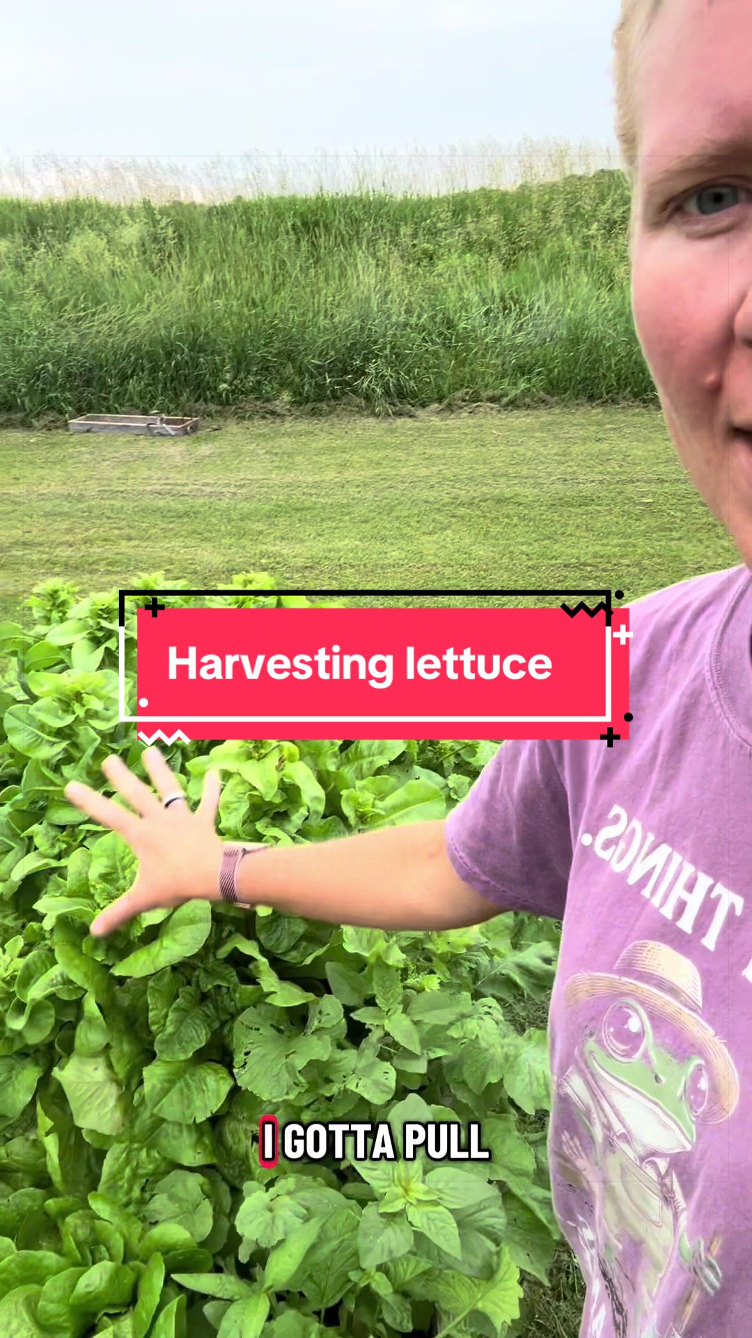 @littlesandycreekfarm