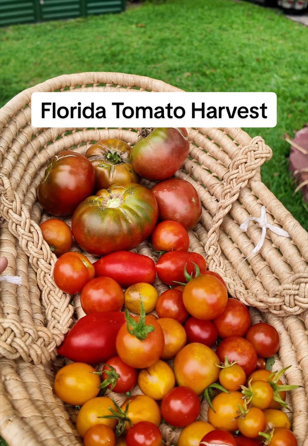 @Homegrown Florida