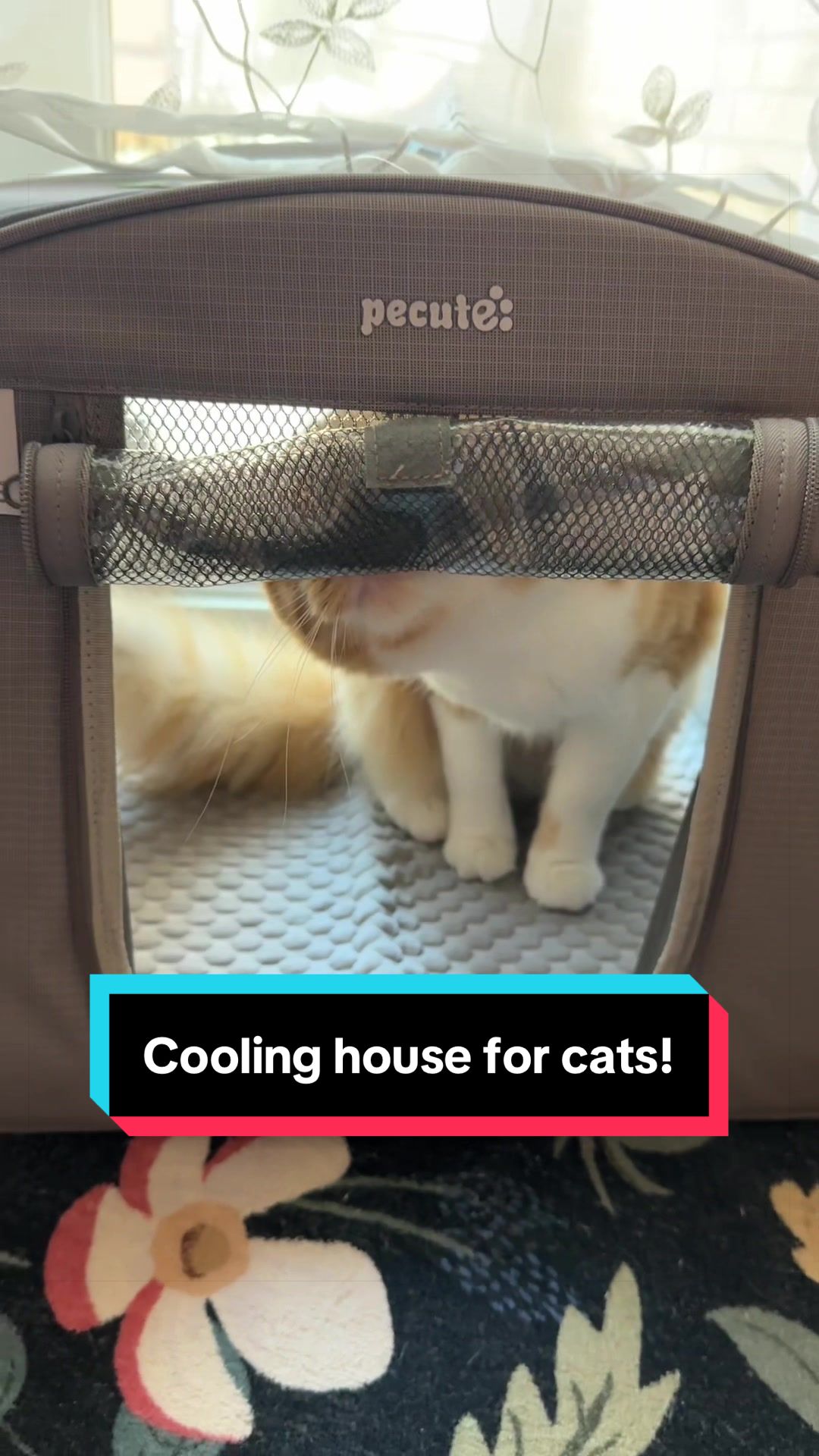@meloncreamcat