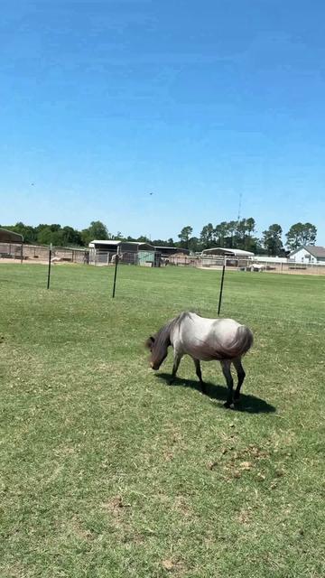 @Dr.Nicole-VetMed