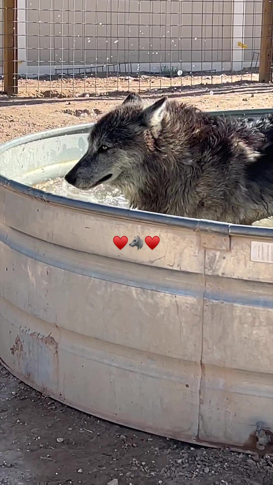 @KeeperOfTheWolves