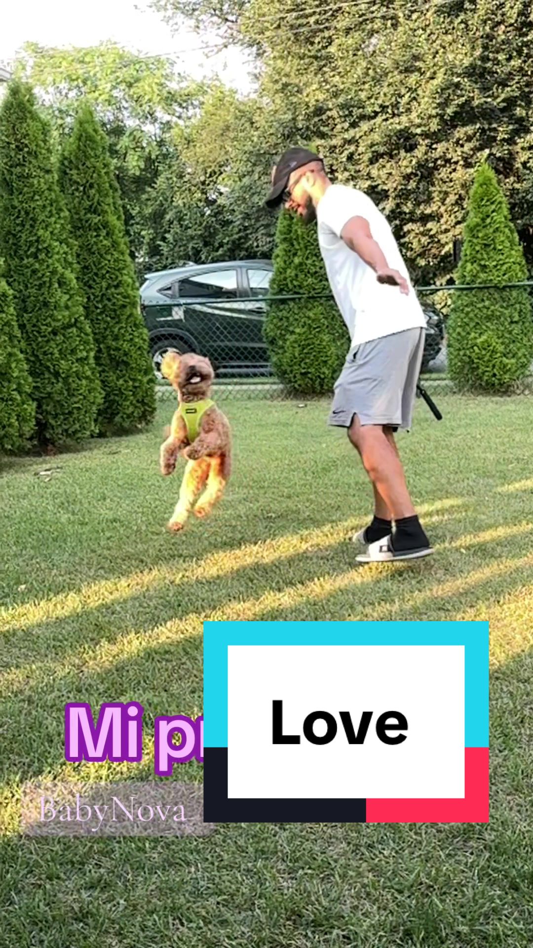 @PattyLove BabyNova 🐾🎀🥰
