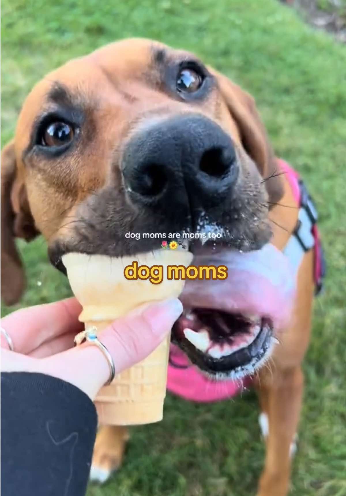 @J A I M E ๐ฆ