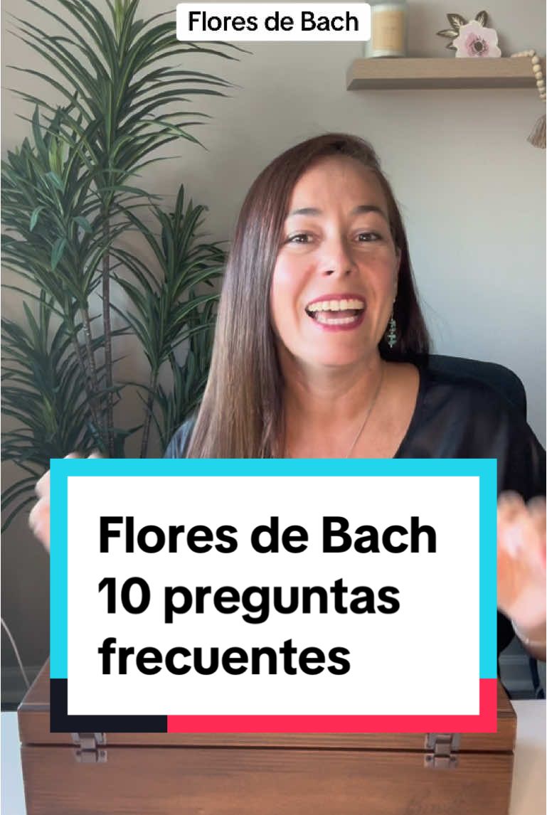 @bachflowersmb