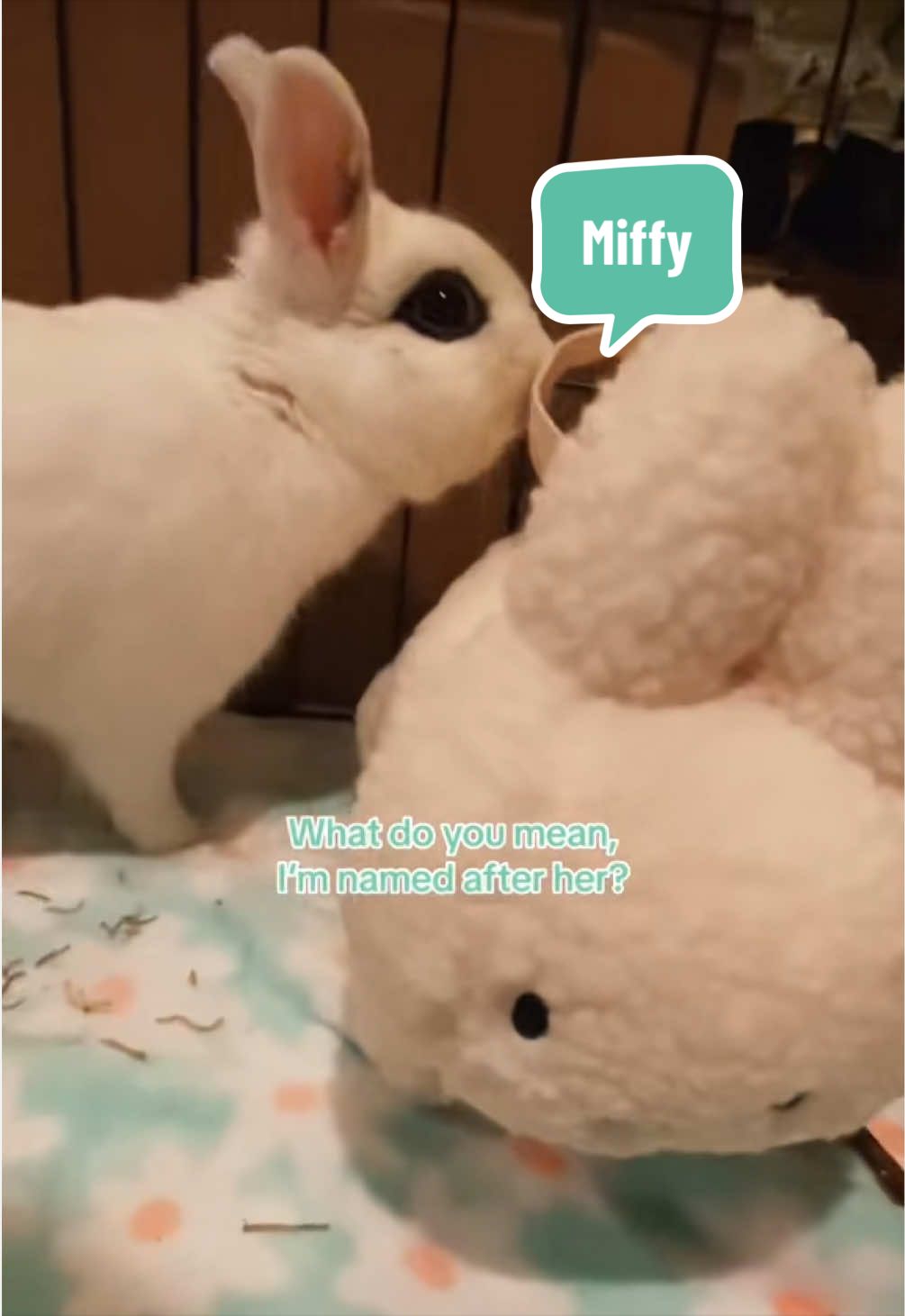 @Roni