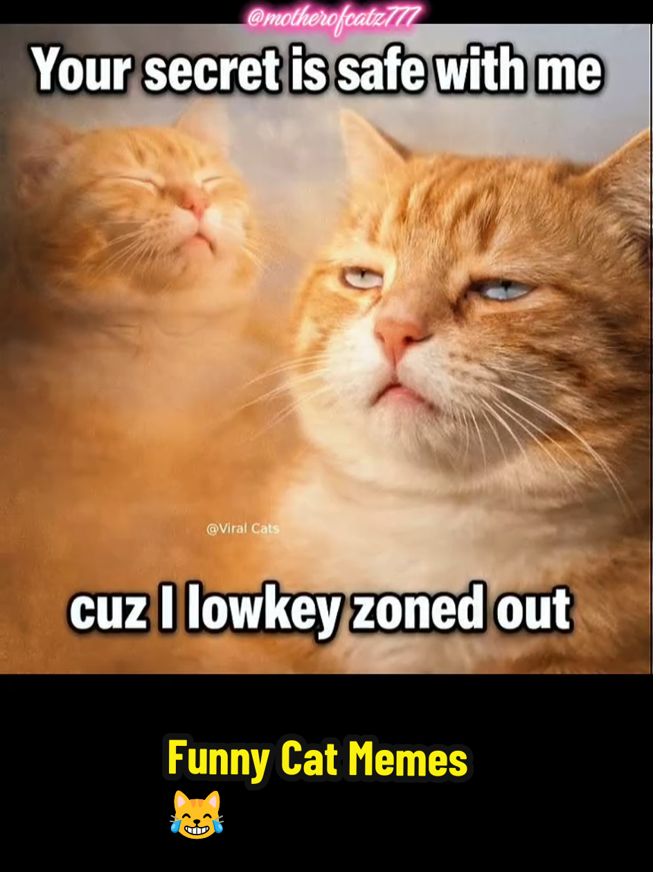 @MOTHEROFCATZ777