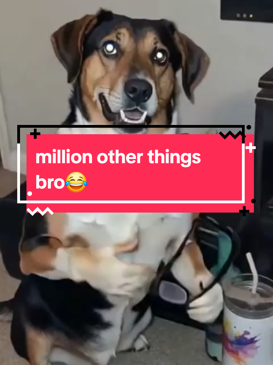 @Jackie