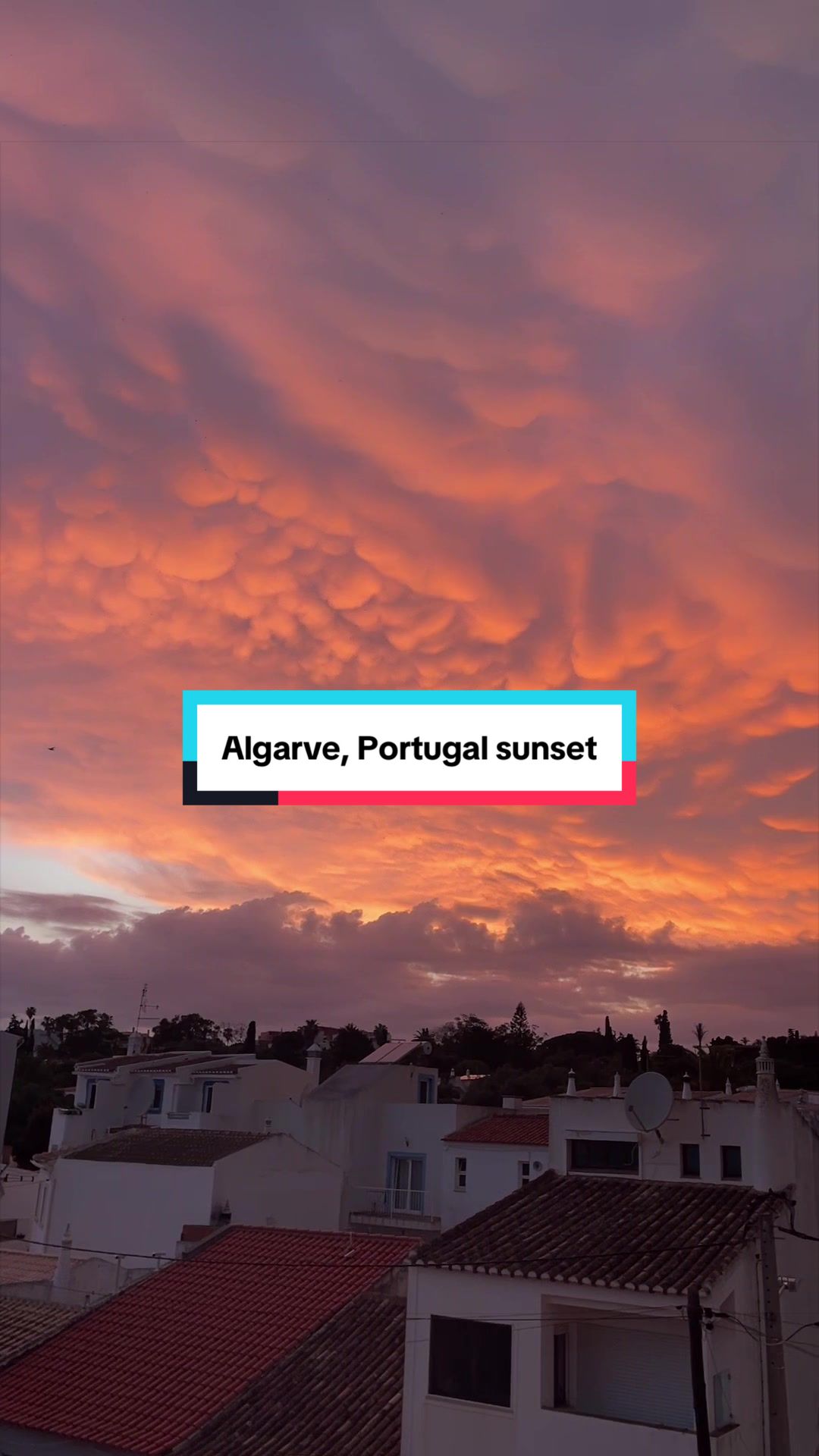 @Taylor & Mike: Life Abroad🇵🇹