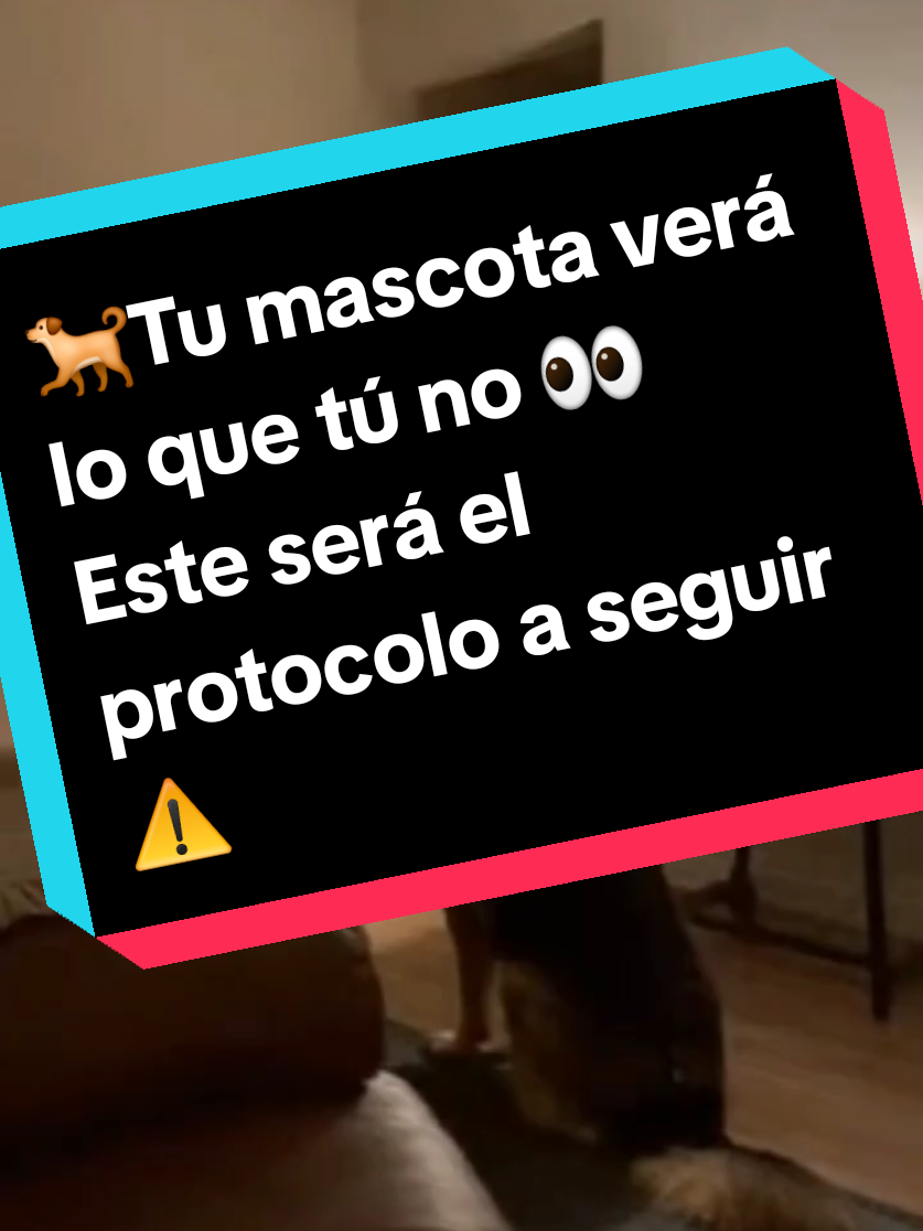 @Miguel Sánchez Ávila
