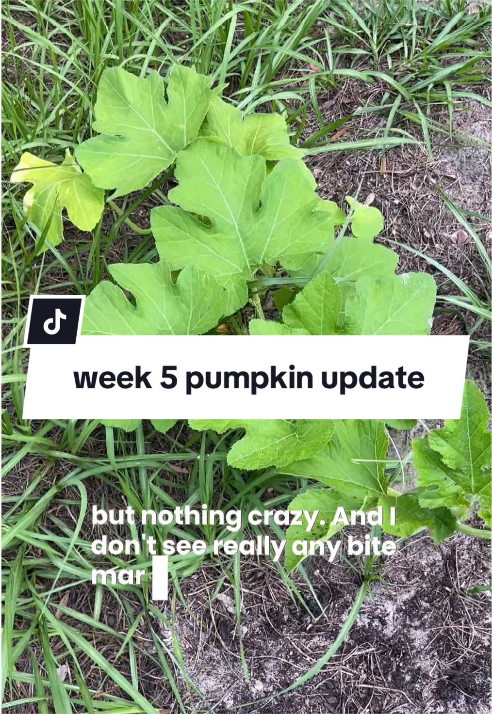 @Ashleigh | Realistic Mommy