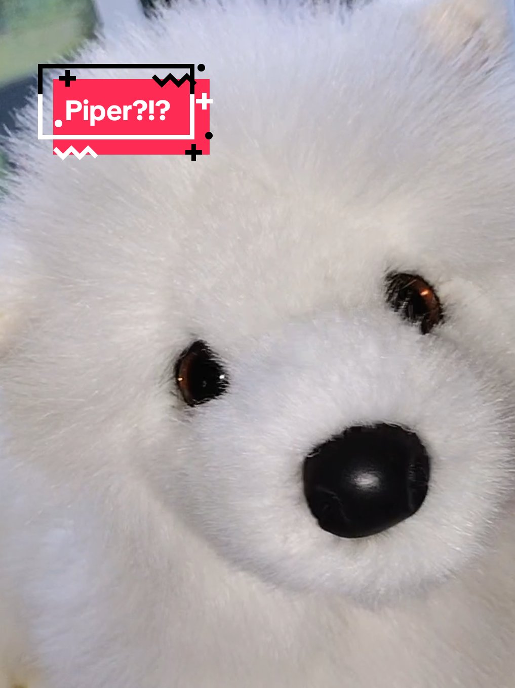 @๐พ·๐๐ฆบโ
·๐ด๐ข๐๐ข๐ ๐ก·โ
๐ท·๐ฆด