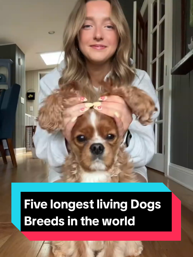 @The pet post