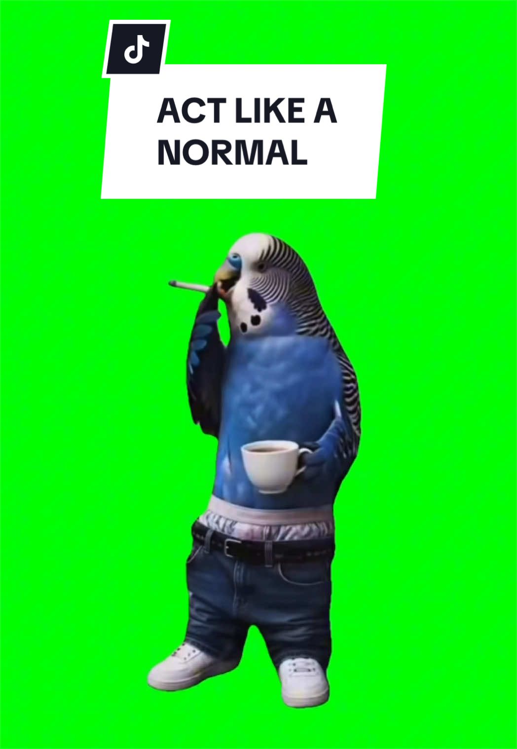 @SILLYBALOO