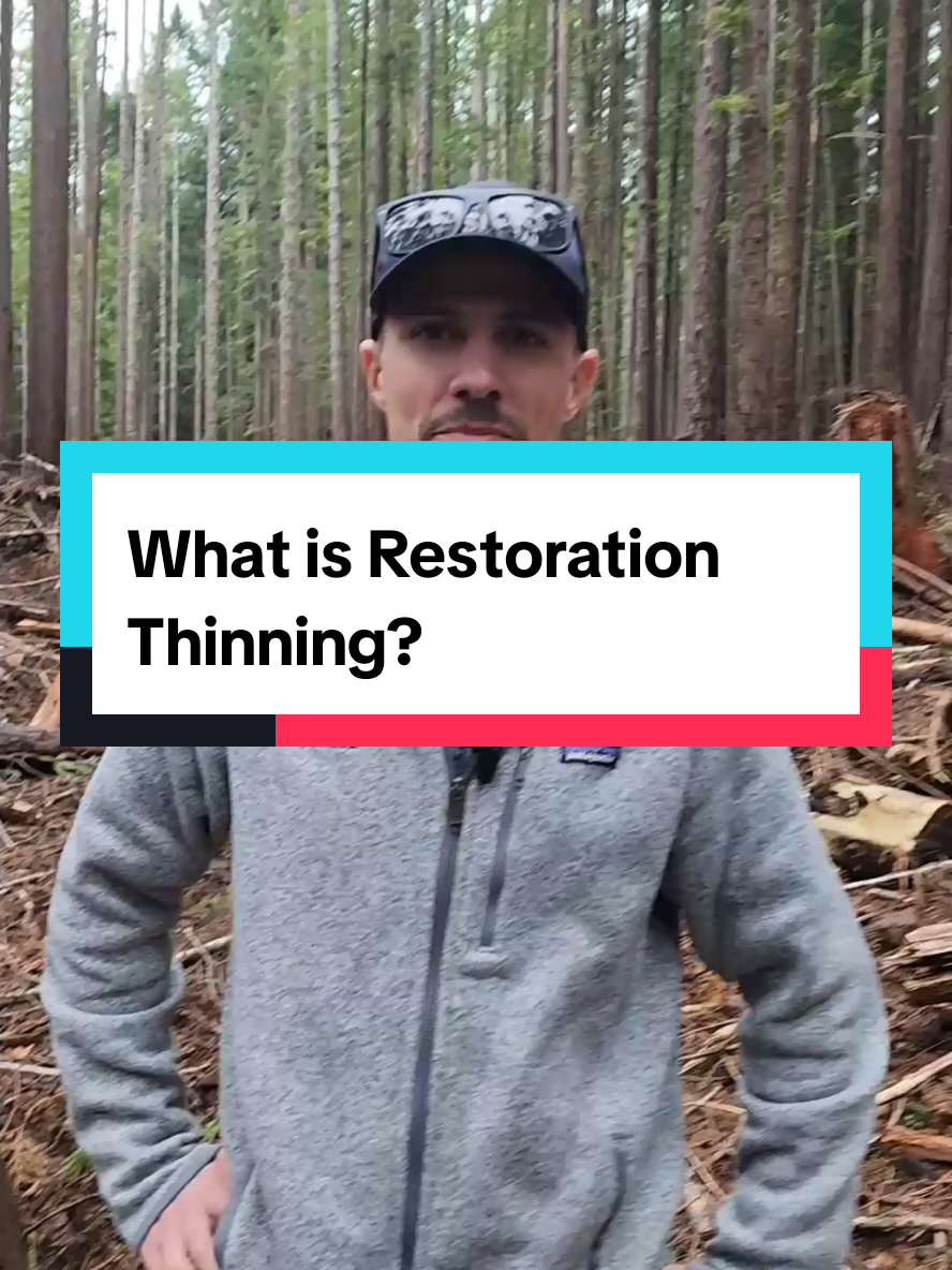 @Redwoods Rising