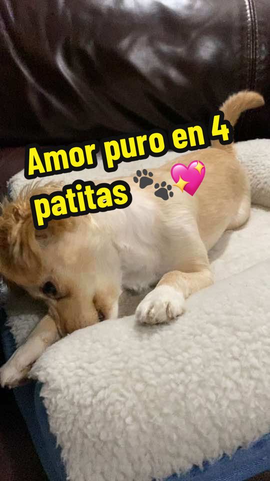 @Aremony