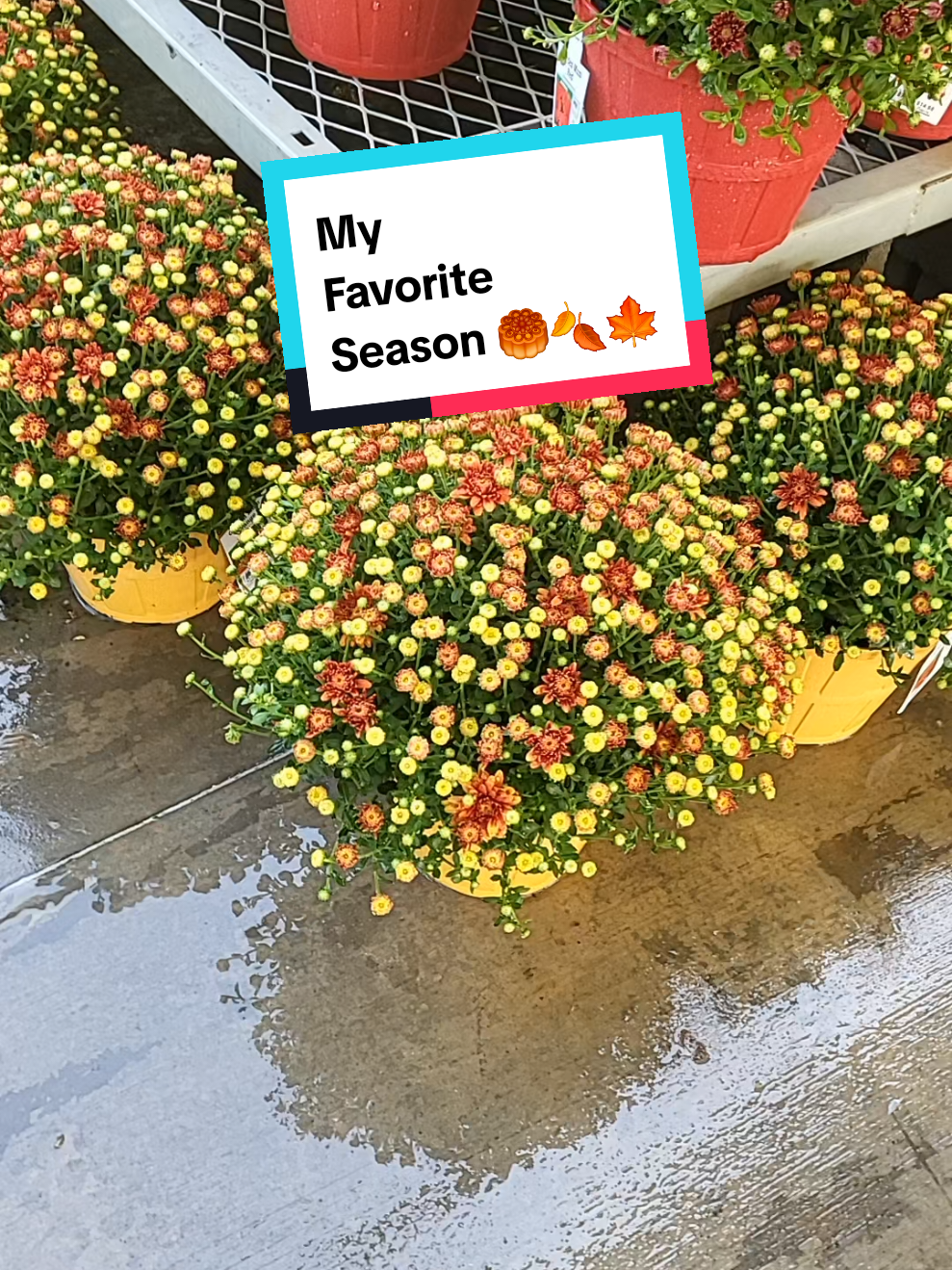 @LisaFromAtlanta