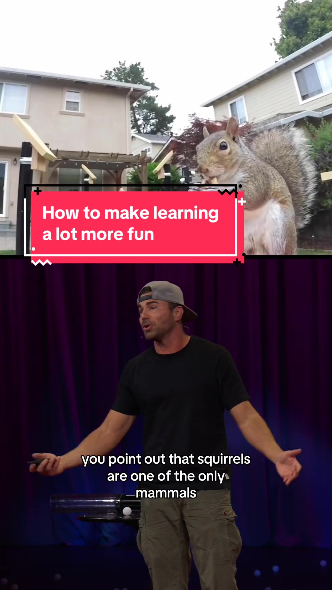 @TED Talks