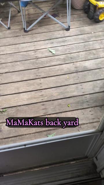 @MamaKat2185